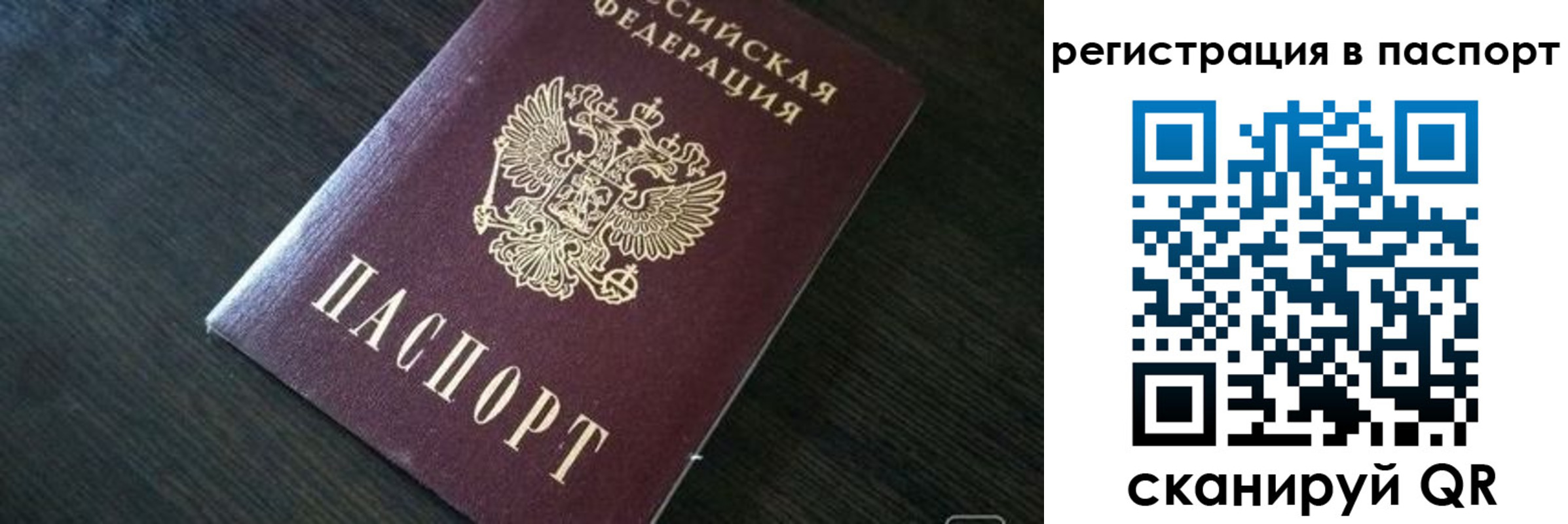 прописка в квартире в Фокино